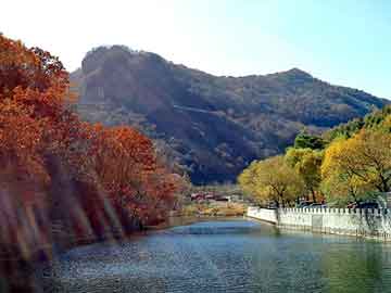 新澳天天开奖资料大全旅游团，逆流天下